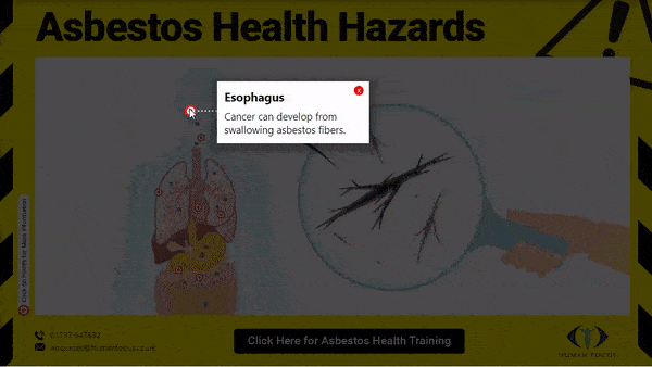 Asbestos health hazards infographic for school