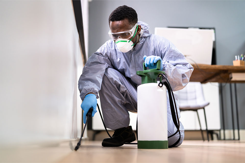 Chemical Pest Control