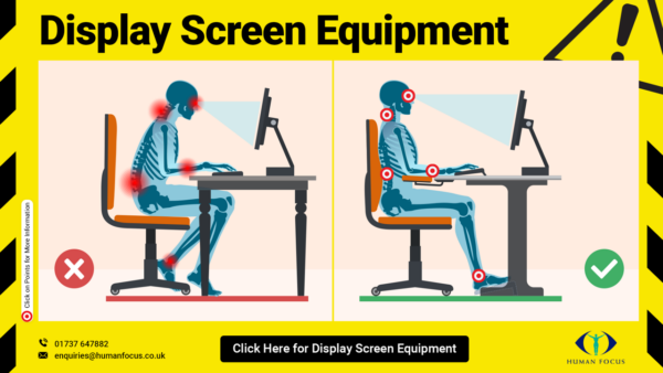 Display screen equipment training infographic