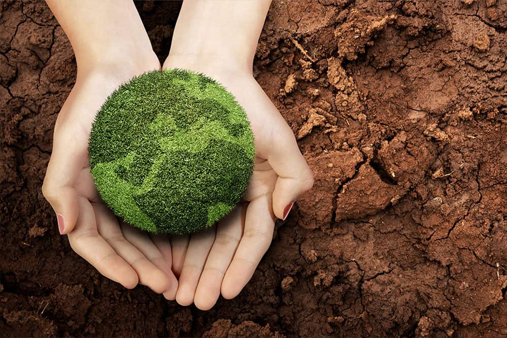 Environmental issues in offices