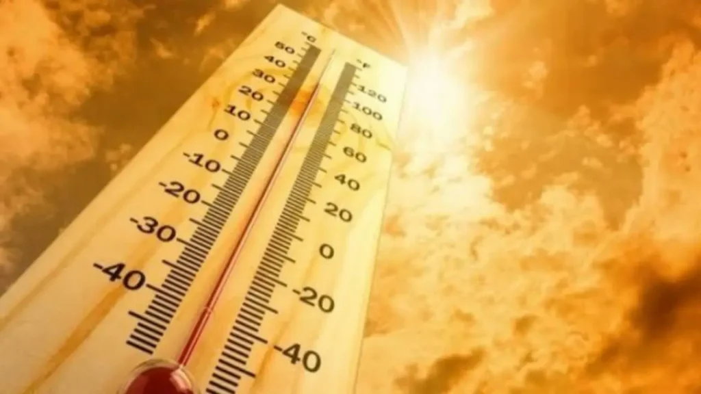 Heatwave Safety Free Infographic