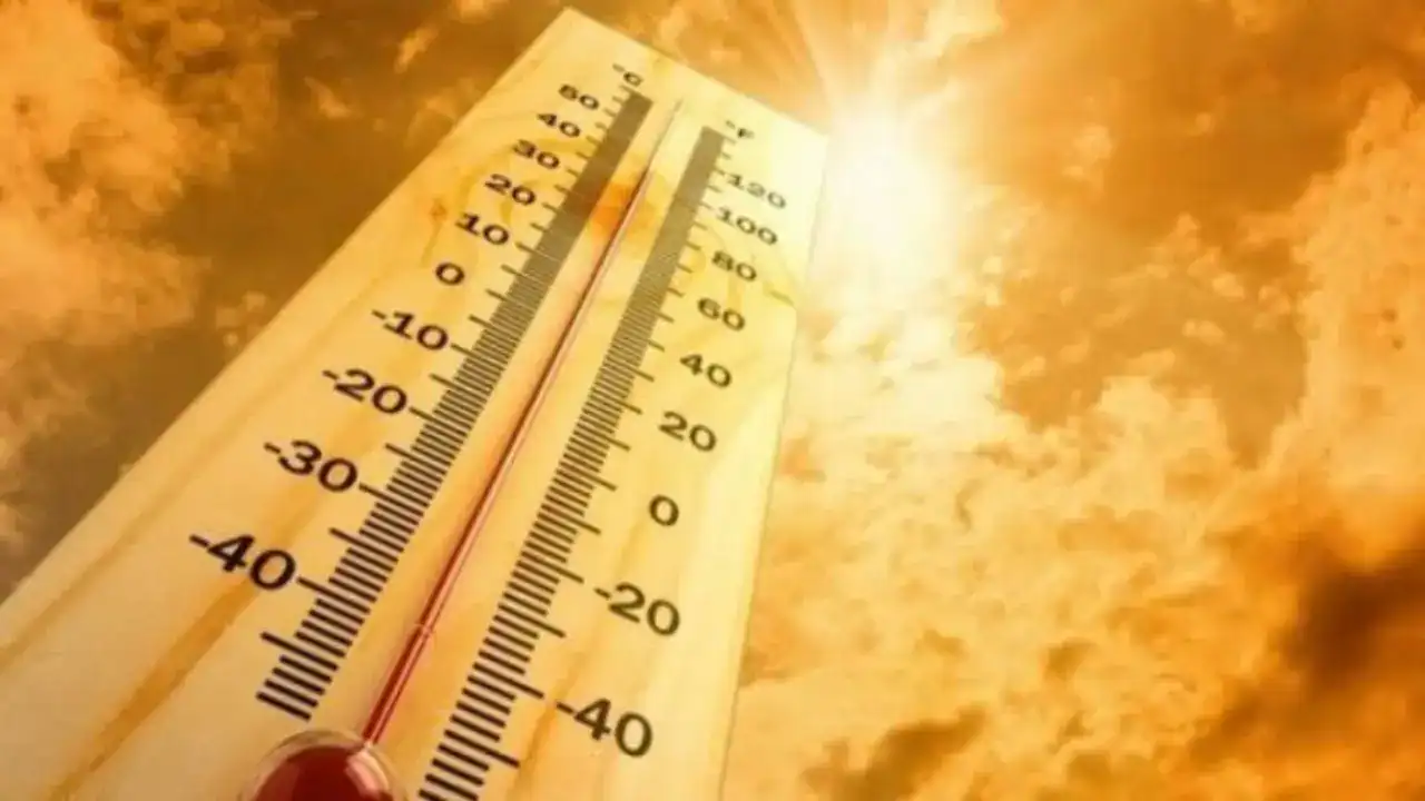 Heatwave Safety Free Infographic