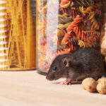 Pest Control in Food Industry