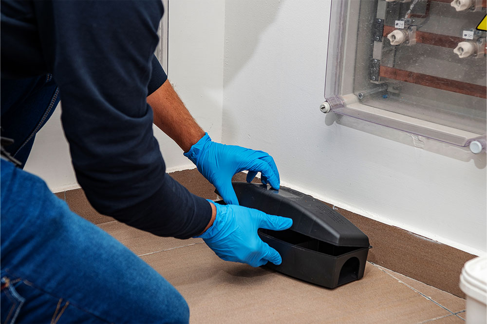 Physical Pest Control