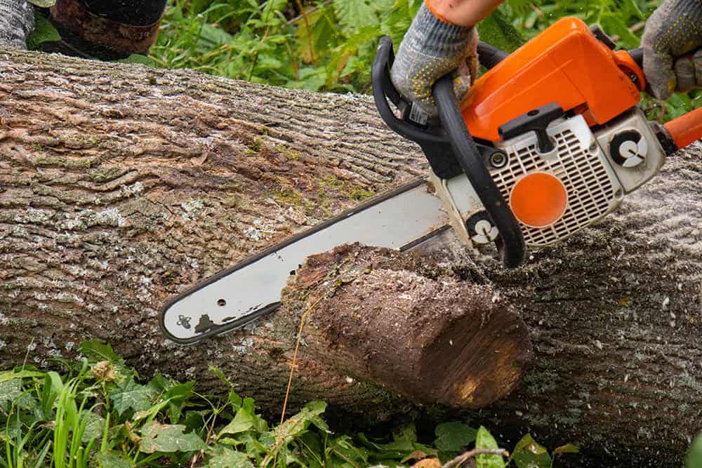 The Most Dangerous Industry