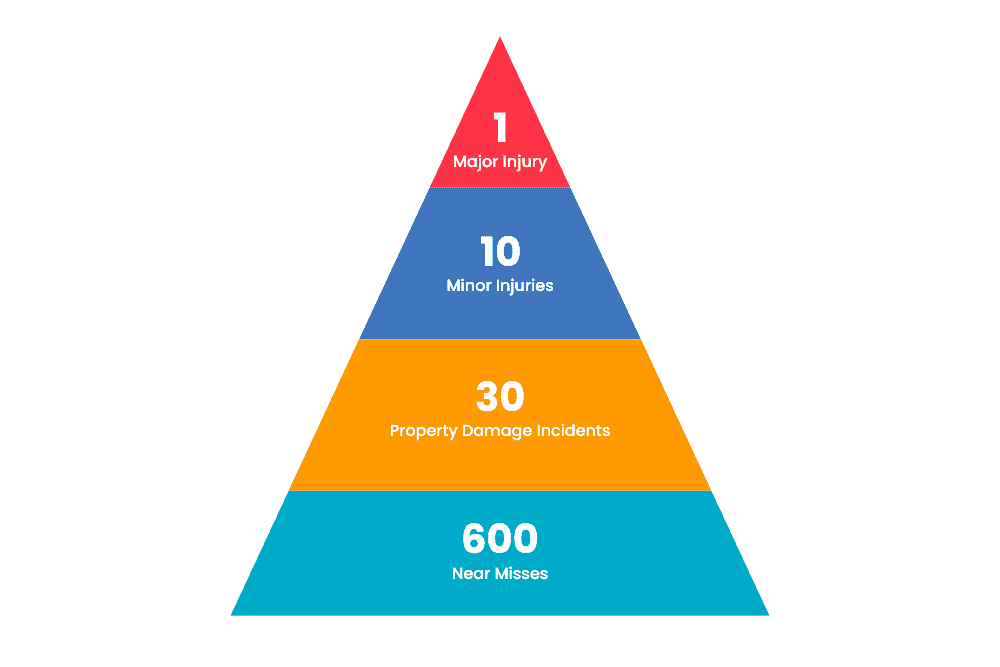 What Is Bird’s Triangle
