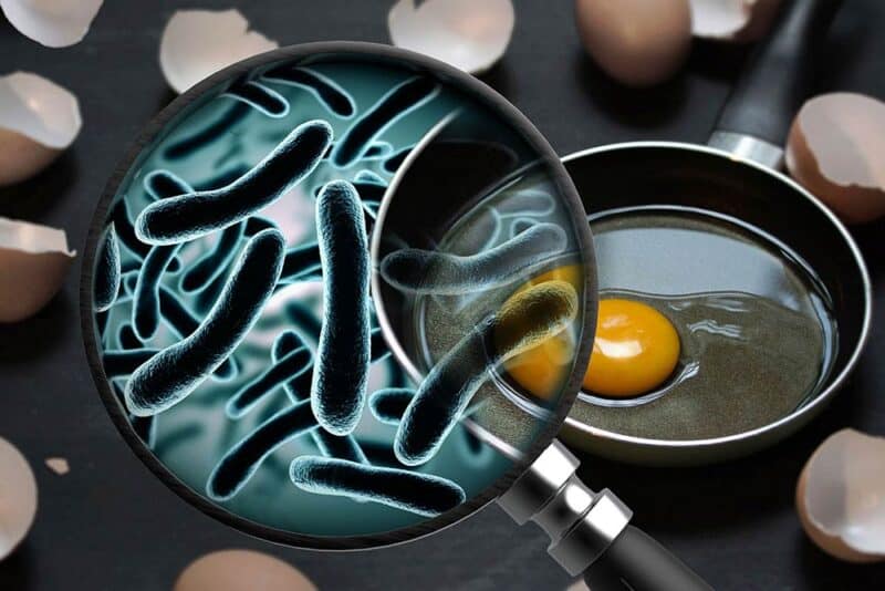 What Is Microbial Contamination?