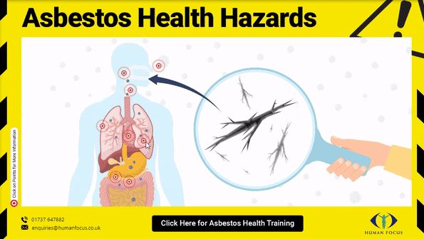 asbestos-infographic