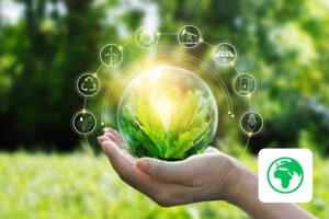environmental management training online