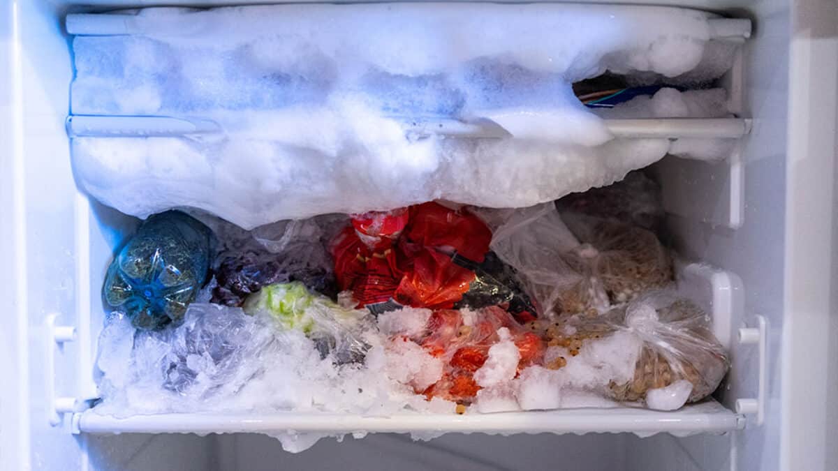 Defrost your freezer.