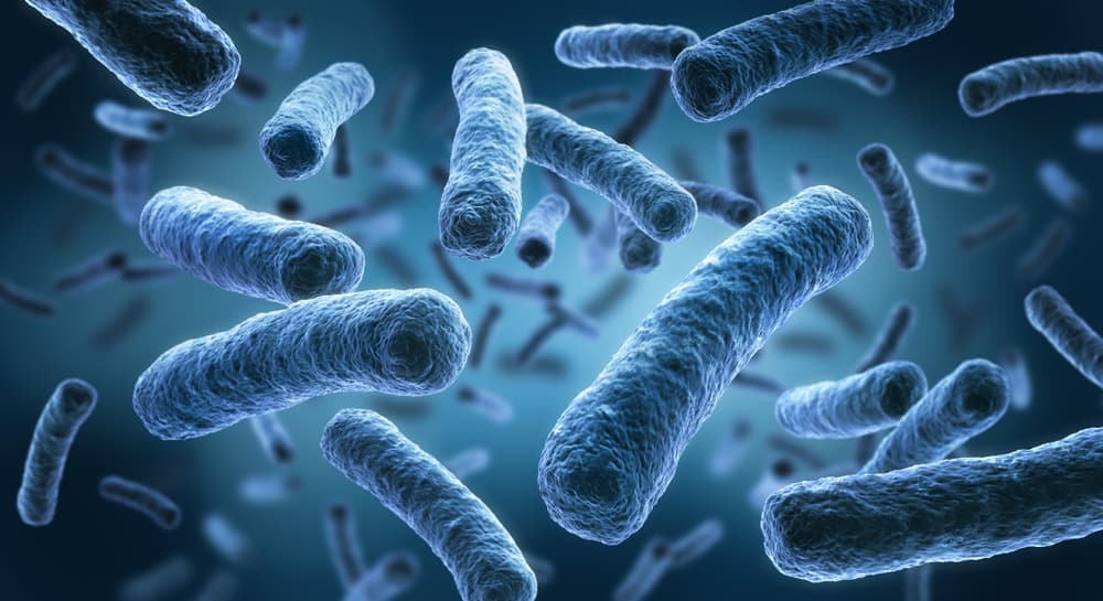 legionella-awareness-training
