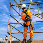 when should safety harness be replaced
