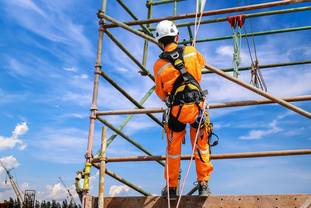 when should safety harness be replaced